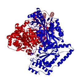 Image of CATH 5hht