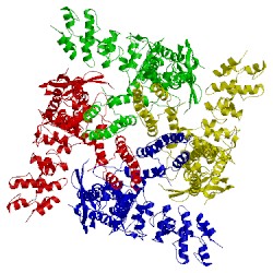 Image of CATH 5hi9