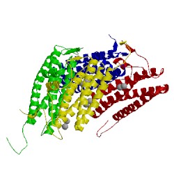 Image of CATH 5hjh