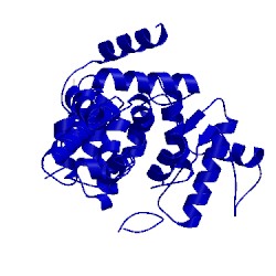 Image of CATH 5hjn