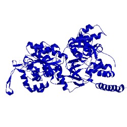 Image of CATH 5hla