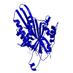 Image of CATH 5hle