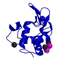 Image of CATH 5hll