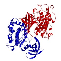 Image of CATH 5hlp