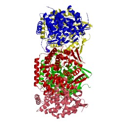 Image of CATH 5hlr
