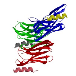 Image of CATH 5hm1