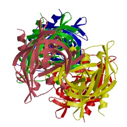 Image of CATH 5hm2