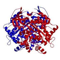 Image of CATH 5hmd