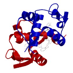 Image of CATH 5hmk