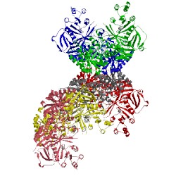 Image of CATH 5hmq
