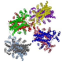 Image of CATH 5hn7