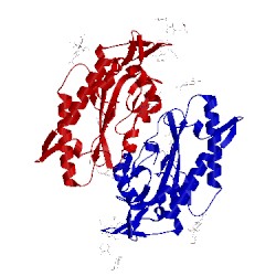 Image of CATH 5hns