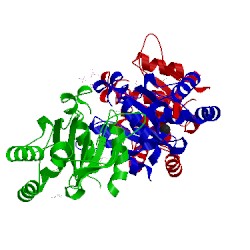 Image of CATH 5hpf