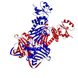 Image of CATH 5hph