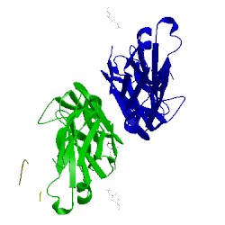 Image of CATH 5hpm