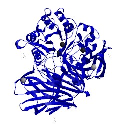 Image of CATH 5hqb