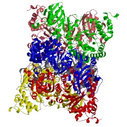 Image of CATH 5hql