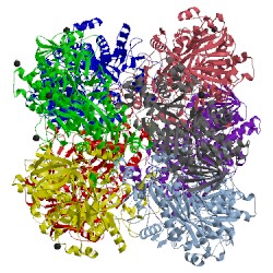 Image of CATH 5hsa
