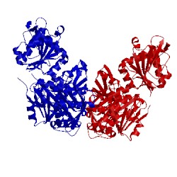 Image of CATH 5hsh