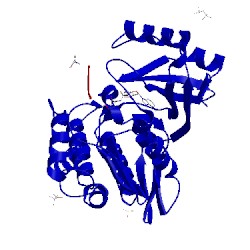 Image of CATH 5htc