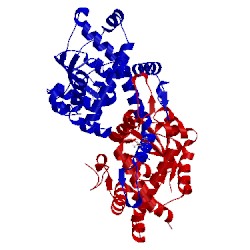 Image of CATH 5htf
