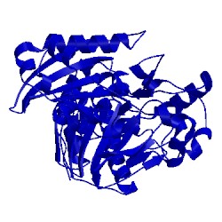 Image of CATH 5htn