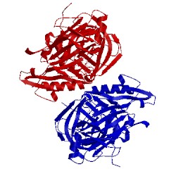 Image of CATH 5htz