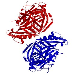 Image of CATH 5hu0