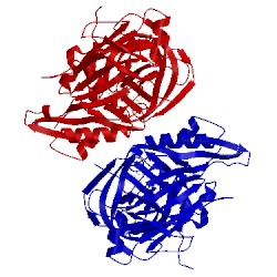 Image of CATH 5hu1