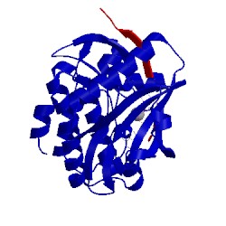 Image of CATH 5hu3