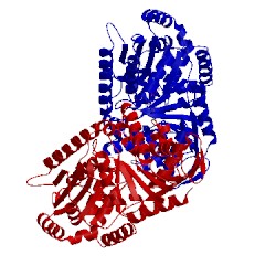 Image of CATH 5huu