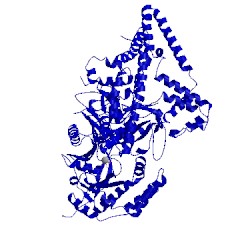 Image of CATH 5hv3