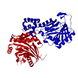 Image of CATH 5hv6