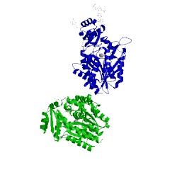 Image of CATH 5hvg