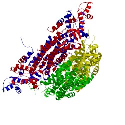 Image of CATH 5hw2