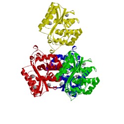 Image of CATH 5hw5