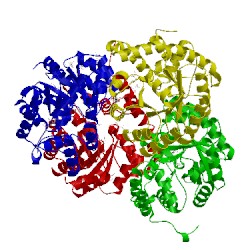 Image of CATH 5hwn