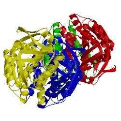 Image of CATH 5hws