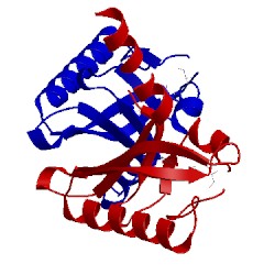 Image of CATH 5hwv