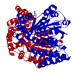 Image of CATH 5hxx