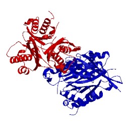 Image of CATH 5hy2