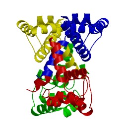 Image of CATH 5hyd