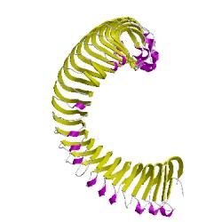 Image of CATH 5hz1B