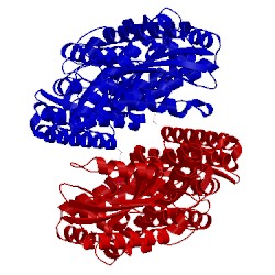 Image of CATH 5hzi