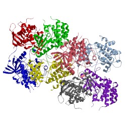 Image of CATH 5hzn