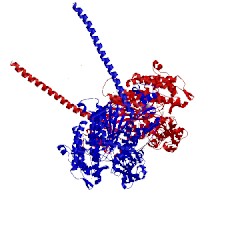 Image of CATH 5i0i