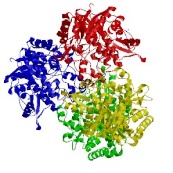 Image of CATH 5i3d