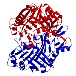 Image of CATH 5i3e