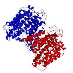 Image of CATH 5i6c