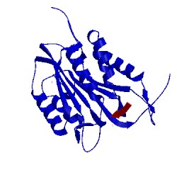 Image of CATH 5ibp